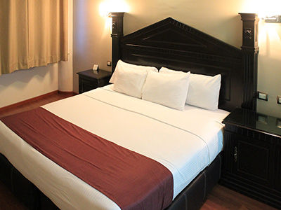 Hotel Diana Del Bosque By Dot Urban 4*